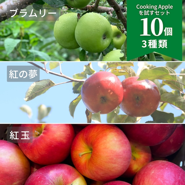 【面白いりんご】完熟ブラムリー4個（約1.5キロ）岩手県産【発送日選択】（クール送料込）