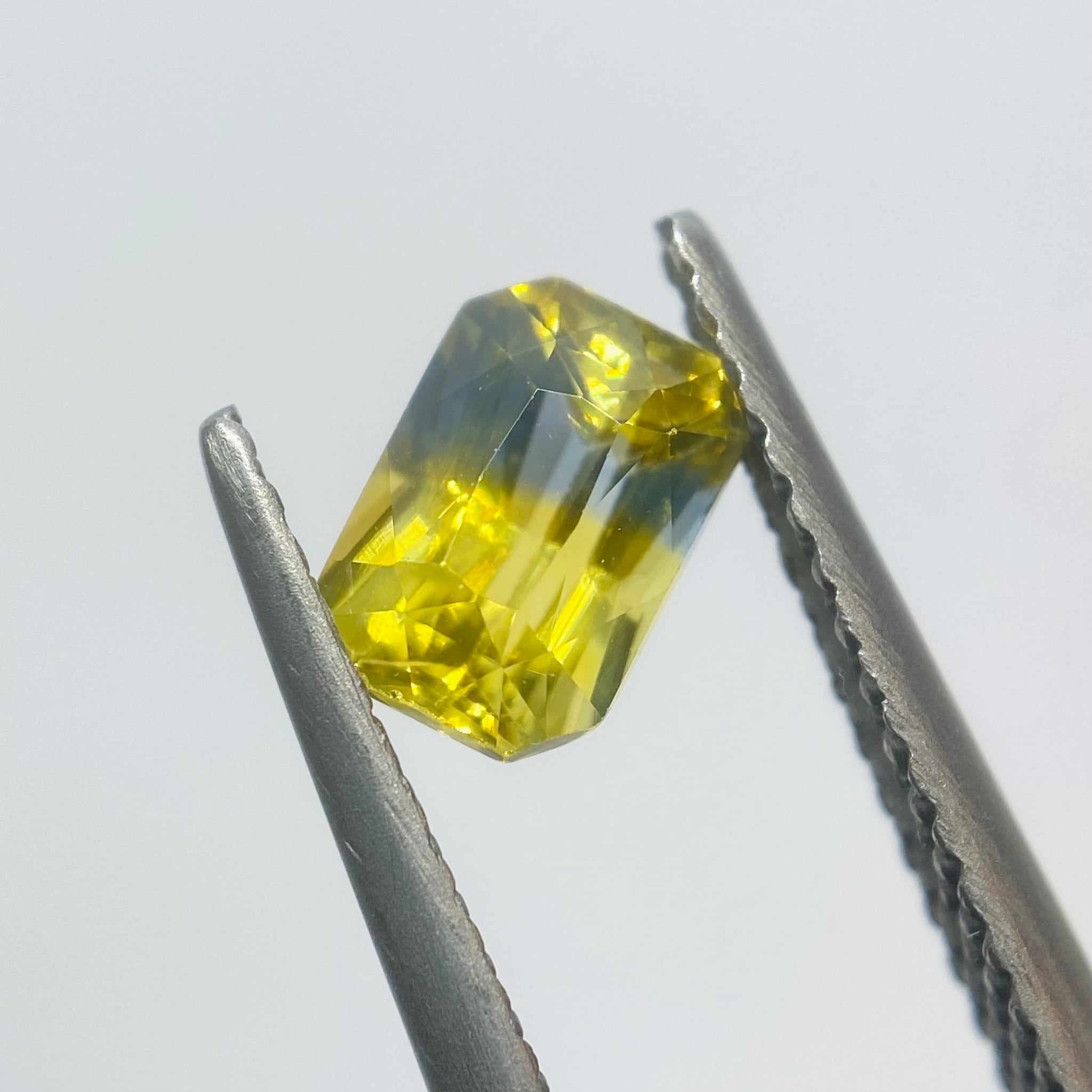 向日葵が見る夏空　バイカラーサファイア