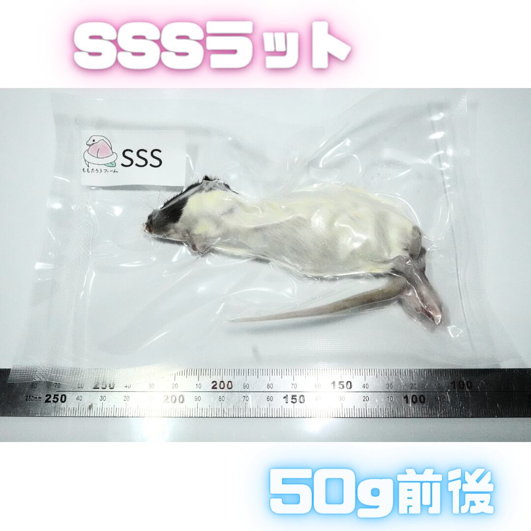 冷凍ラットＳ約31〜50g   20匹