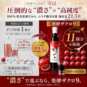 送料込｜無添加・オーガニック 発酵ザクロ100% 〔9〕| 飲む・かける・合わせる。果汁だけでつくった、食卓に取り入れる濃密発酵ザクロ100%