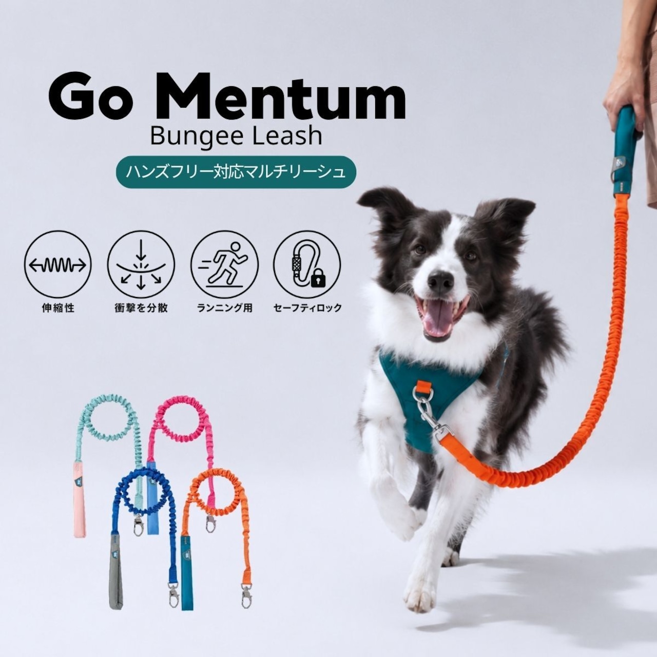 【puppygallery公式】Momentum - Bungee Leash バンジータイプ 幅 2.5cm 長さ 125〜200cm