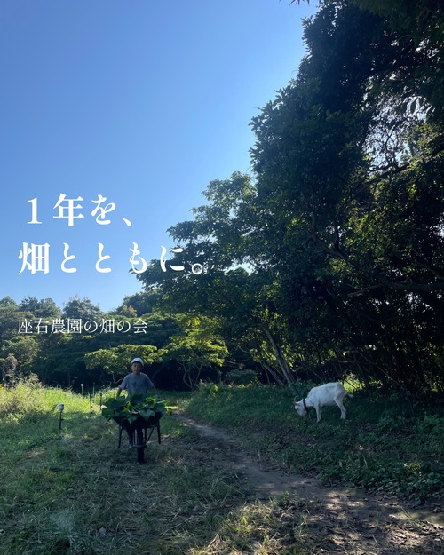 畑の会2026秋会員