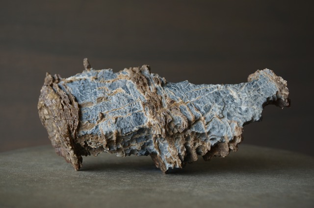 ゴビ砂漠産風凌石 Fengling Stone 2375