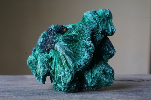 ヴェルヴェット マラカイト Malachite ③