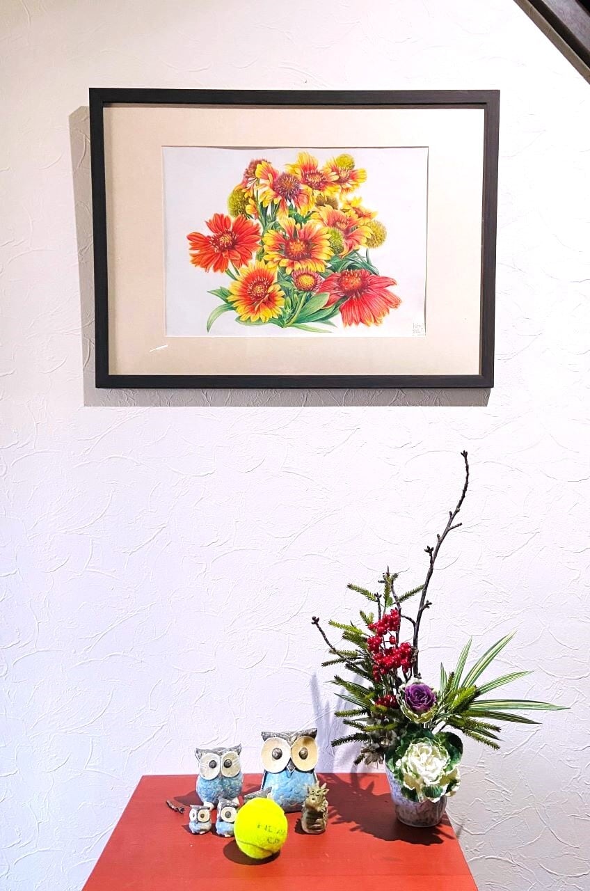 15.天人菊 テンニンギク（Gaillarudia ガイラルディア）原画作品（1点
