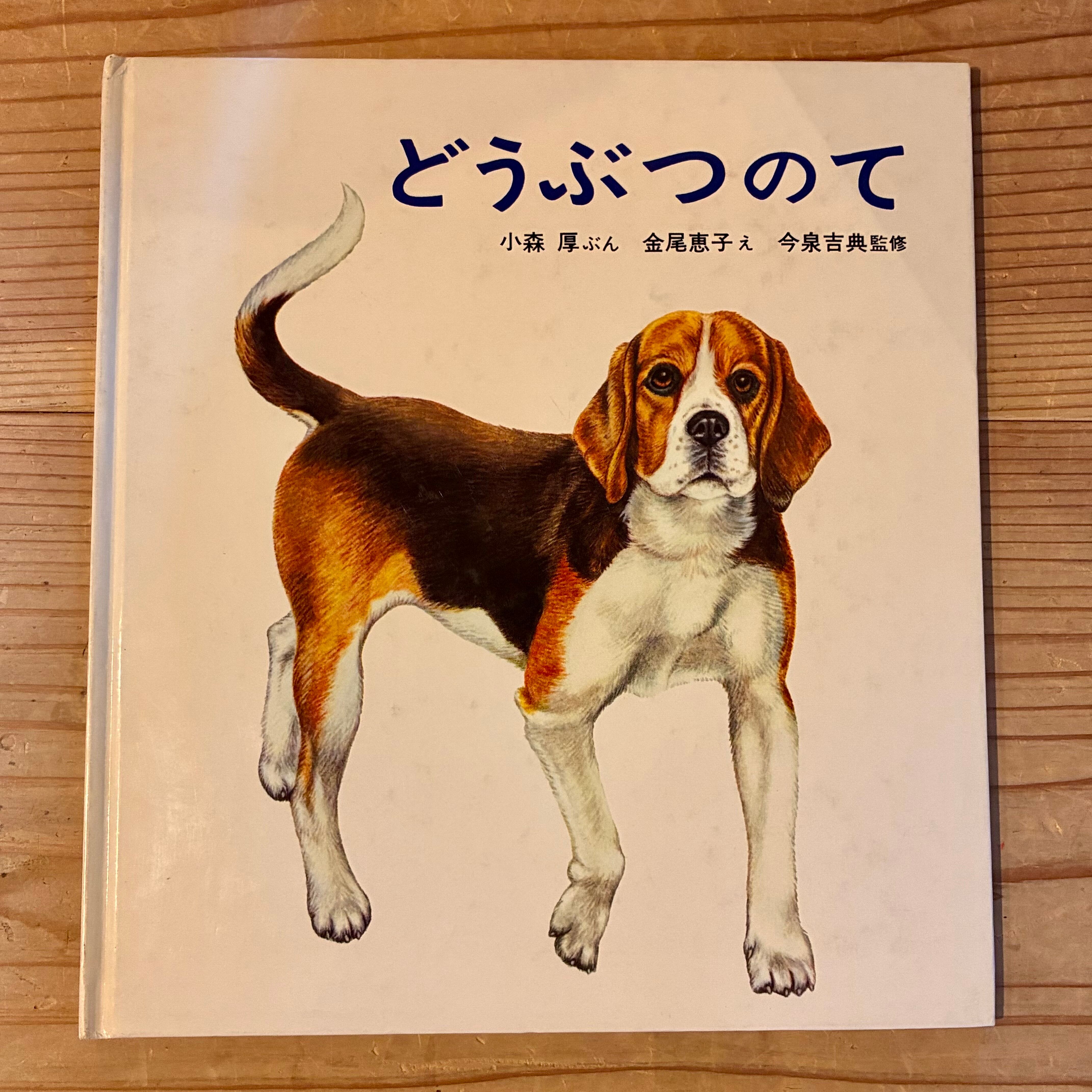 古本】どろで あそぼう | ホホホ座 西田辺 絵本・新刊本・古本