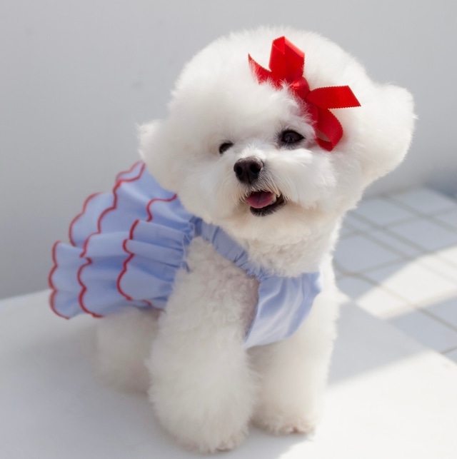 【groomingdog】Strawberry fleece one-piece