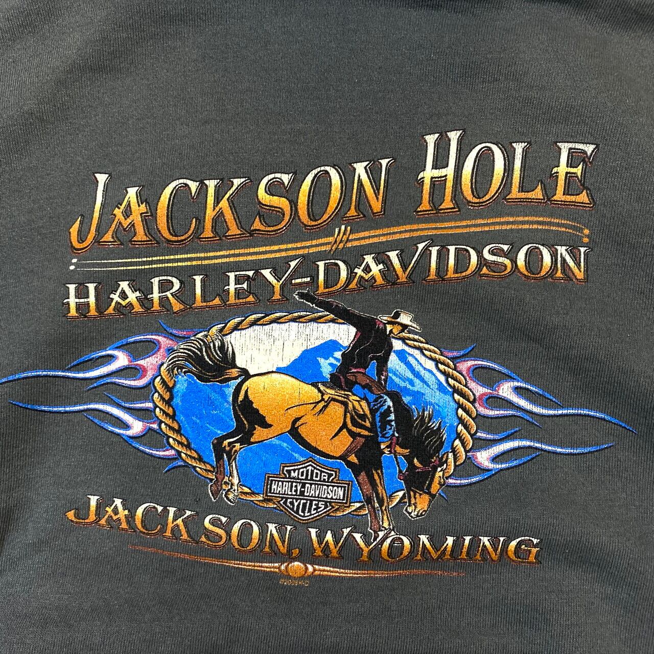 Harley-Davidson ハーレーダビッドソン バイク モーターサイクル 両面