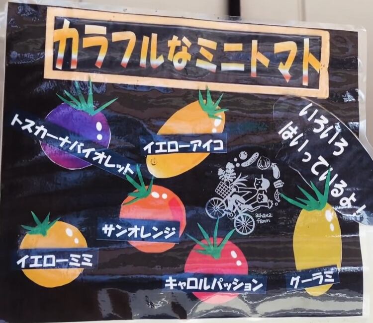 トマト】ドライ《ミニカラーMIX》20g | ねりベジや