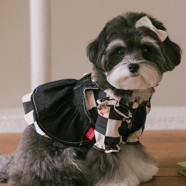 〈 即納アイテム 〉Rolling PEPE アクセサリー /ワンダーランドコーデュロイヘアピン