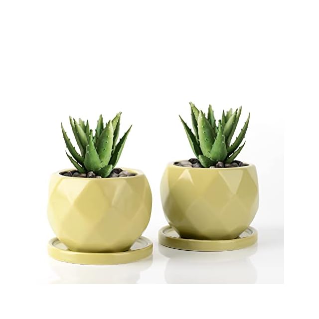 植木鉢 古賀 文博 | Pay ID