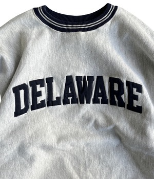 Vintage 90s XL Champion reverse weave sweatshirt -DELAWARE-