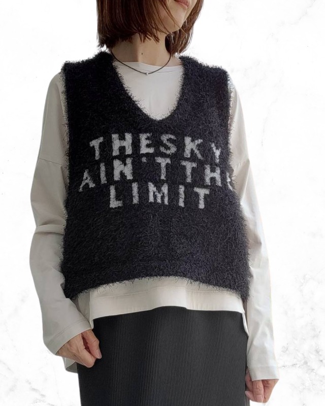 ロゴ入りダンスヤーンニットベスト　855726　ayane　アヤン