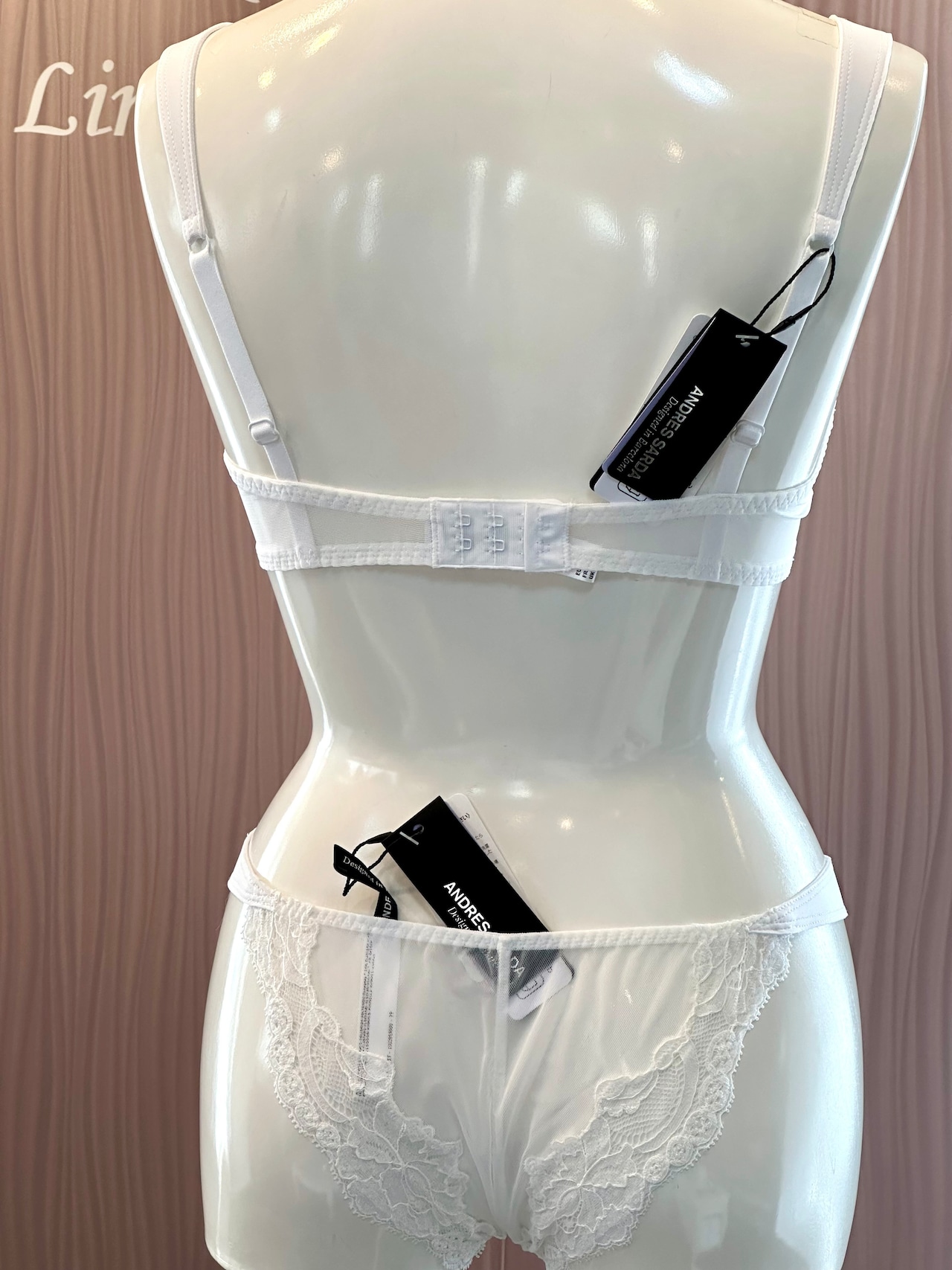 DION ソフトブラジャー アンドレサルダ