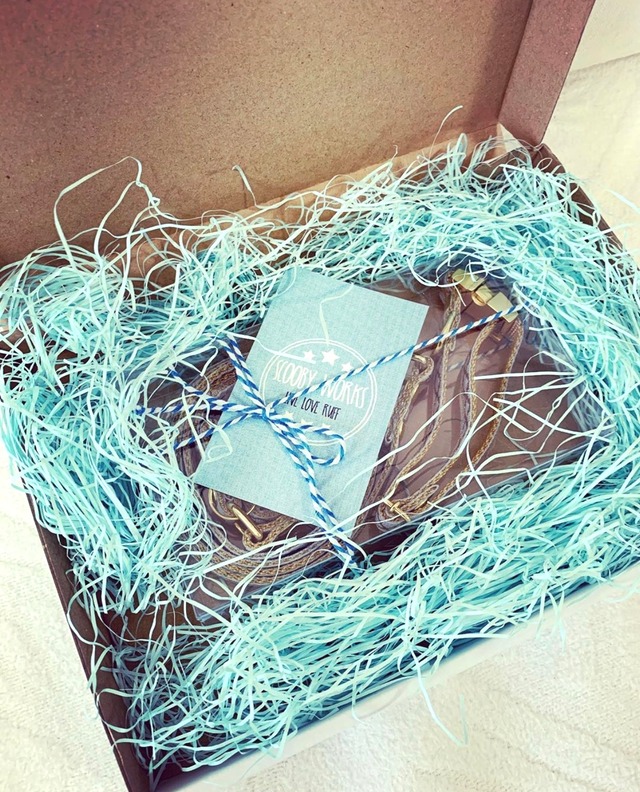 リニューアル　首輪とリード