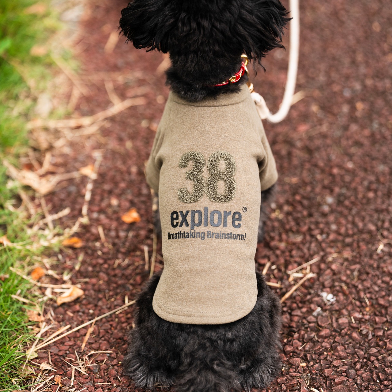 38DOG LOGO EMBROIDERY TEE / KAHKI