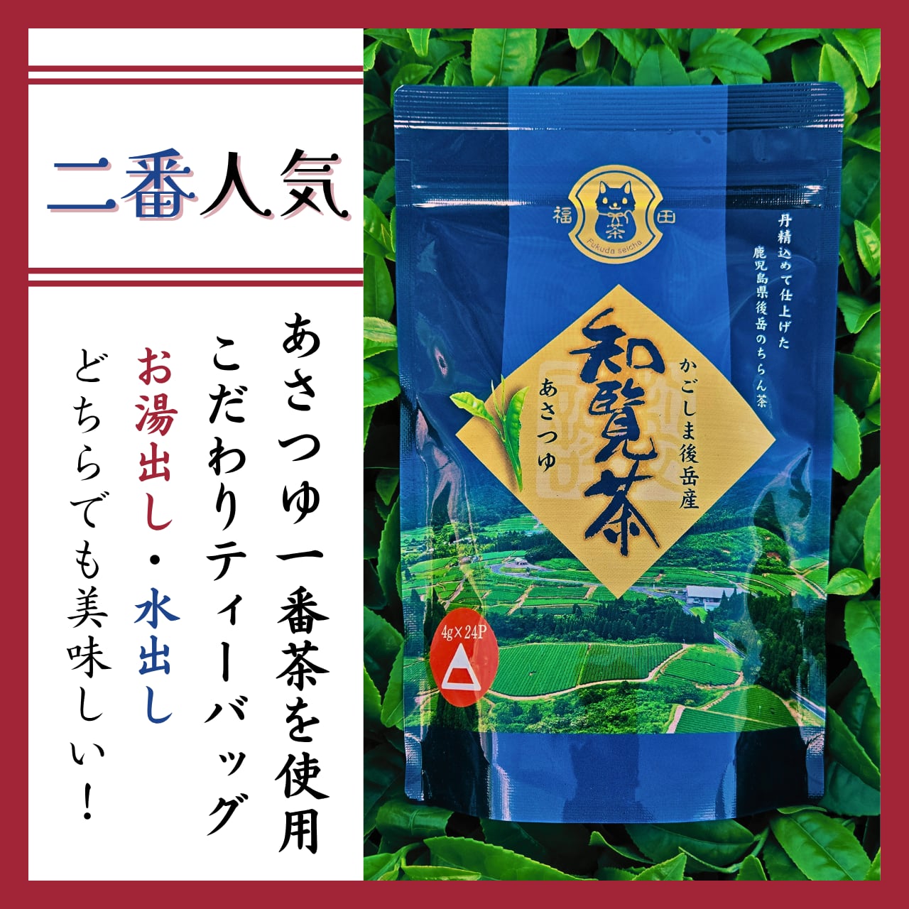 新茶同時発送予約】知覧茶ティーバッグ 3袋箱詰ギフトセット(箱代込み