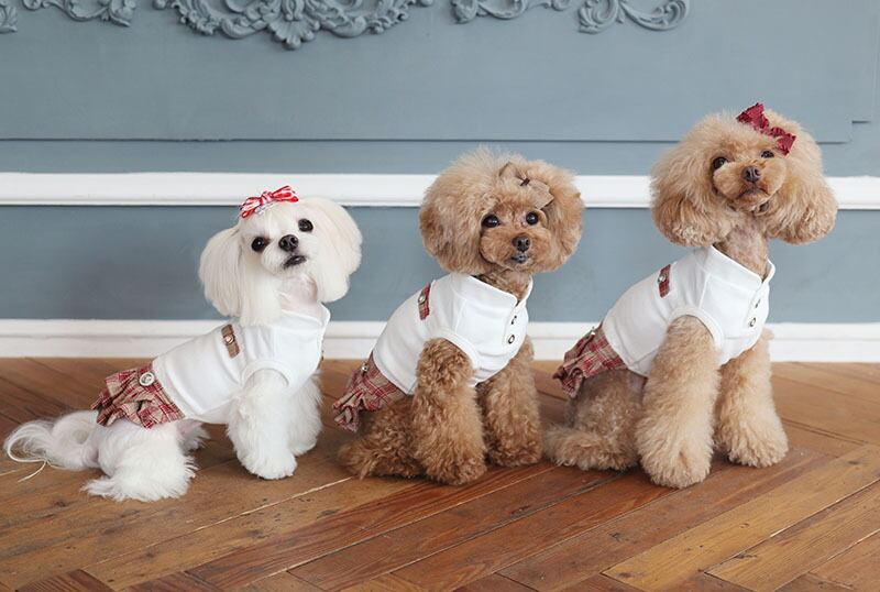 CLASSIC SCHOOLワンピース / 犬服 ワンピース お出かけ 小型犬 中型犬 可愛い ドッグウェア 犬の服 ドレス お揃い