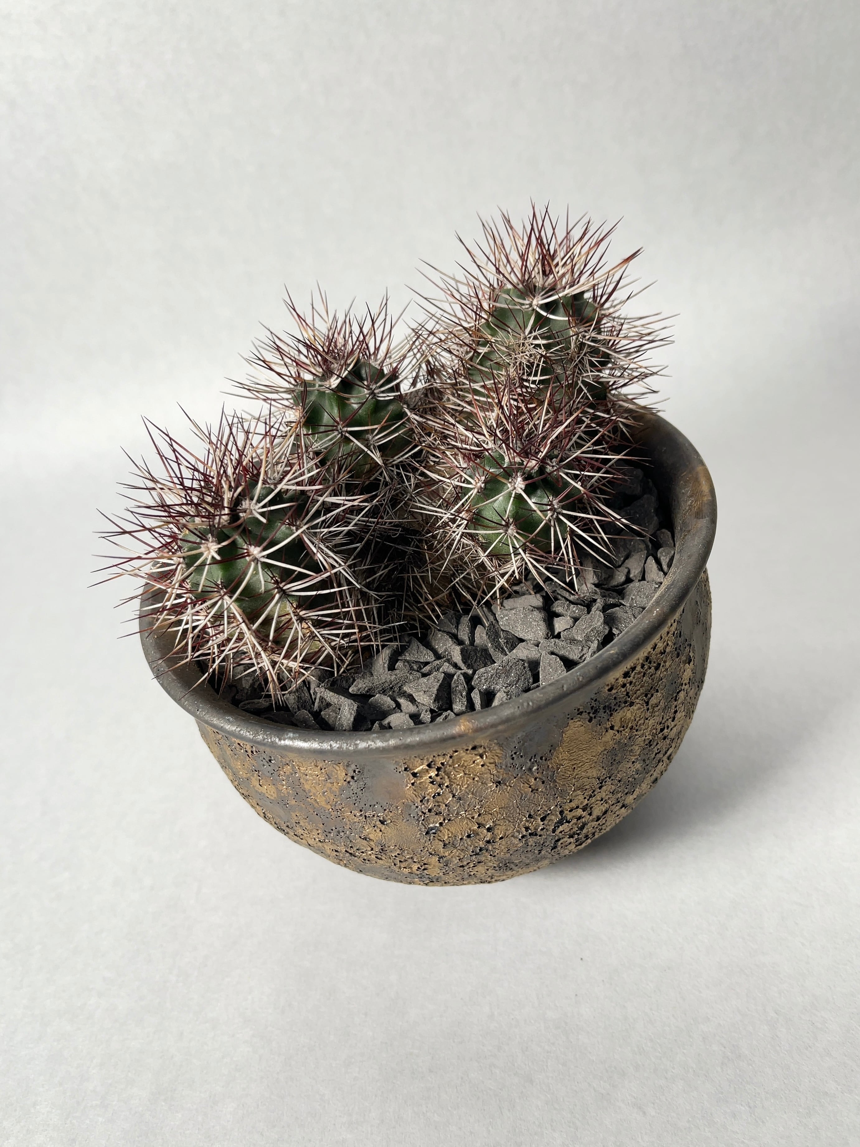 中川智治×trigger】ダビシー | trigger