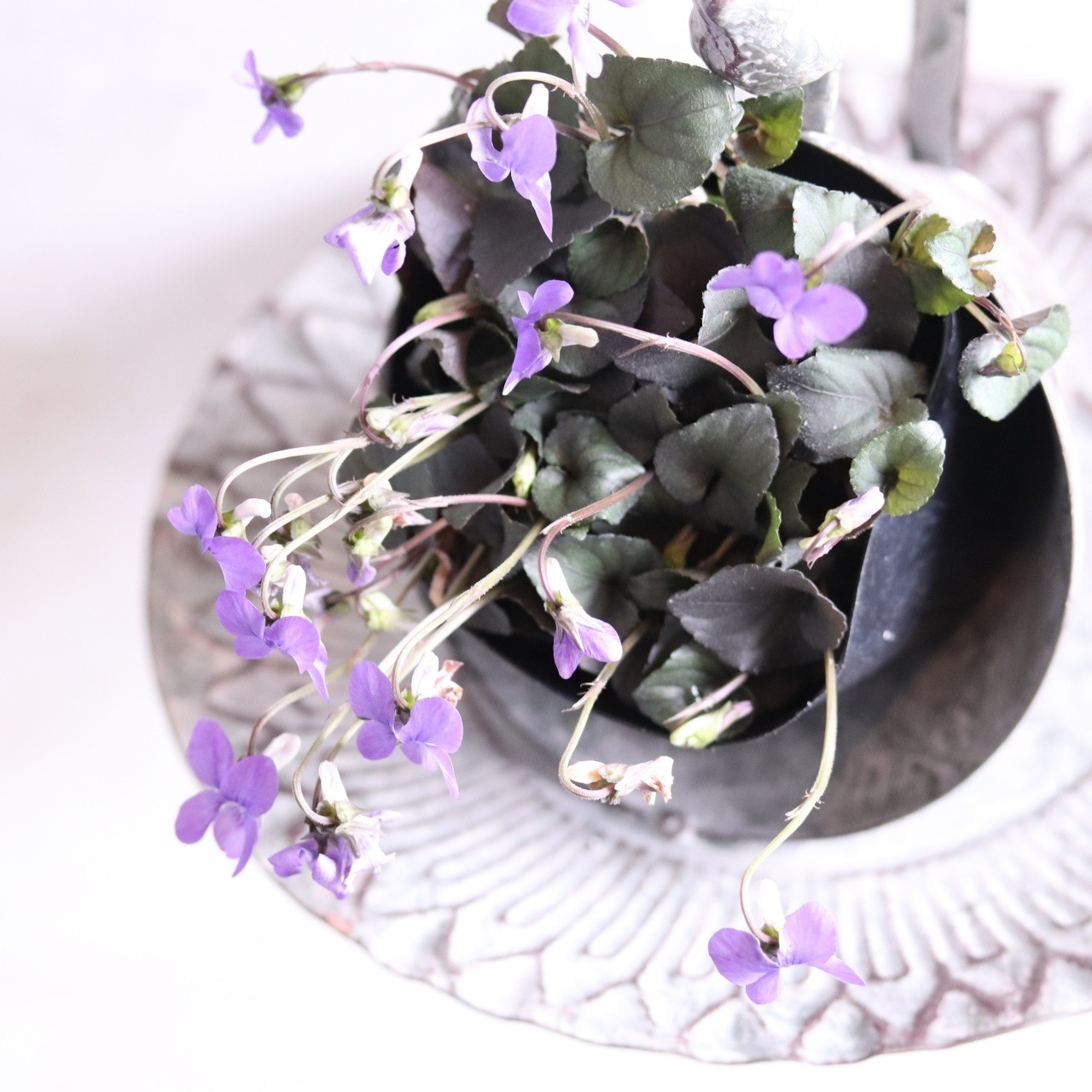 シャロットハンギングバードトレイA ブリキ　シャビーシック　オシャレ　JG29