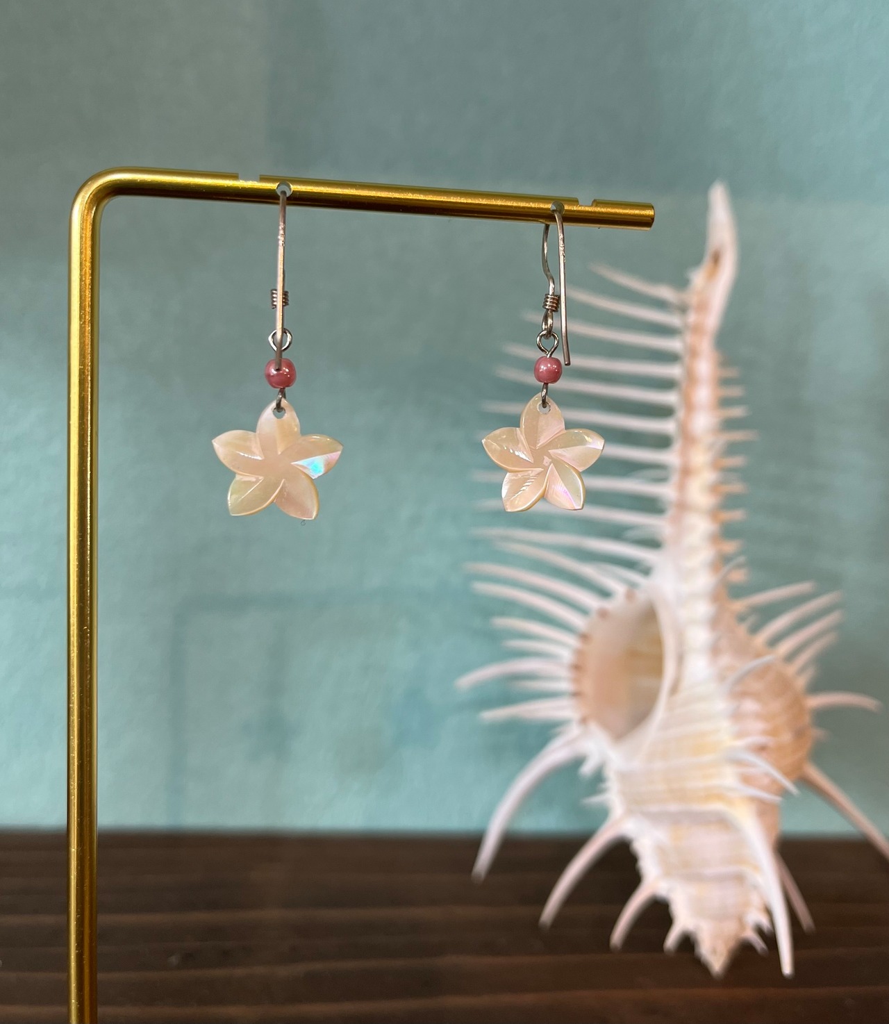 夜光貝プルメリア