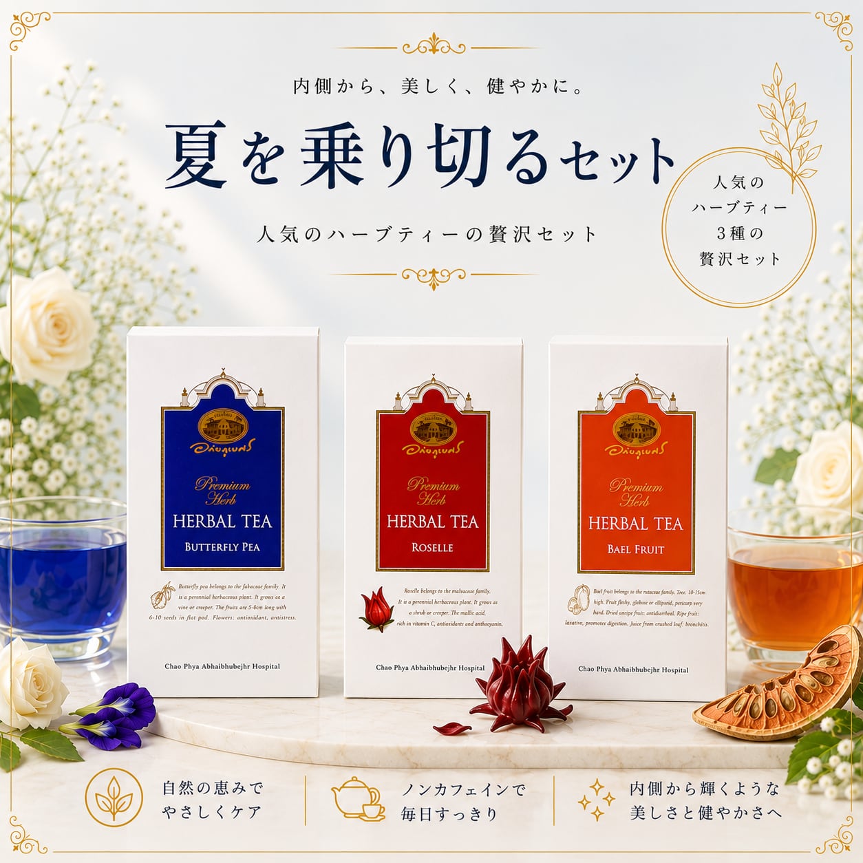 夏を乗り切るセット 定価5832円