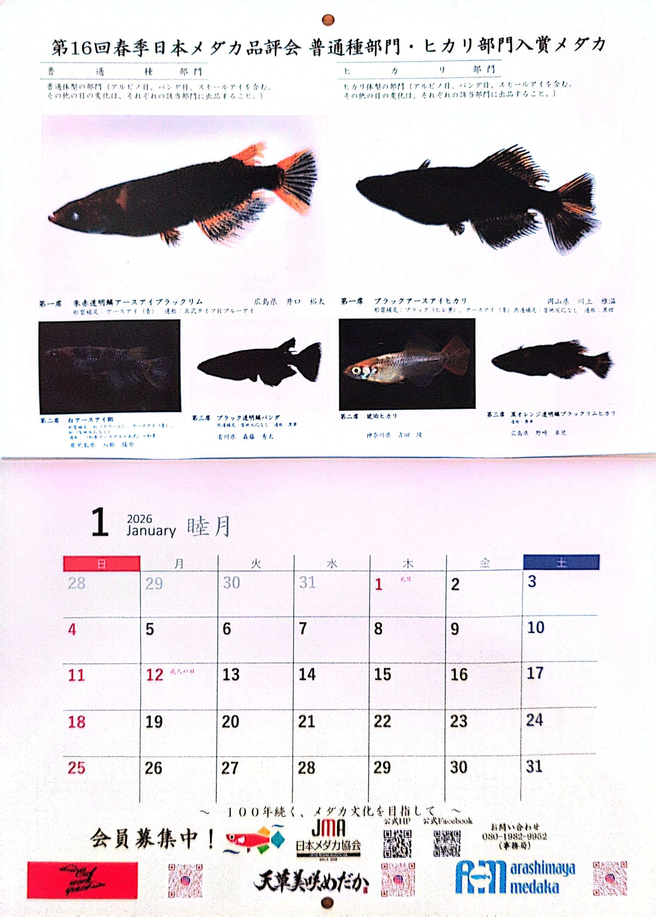 メダカ飼育かかり様 まとめご依頼品 未開封 輸入盤 61OBBkQ08QL.jpg