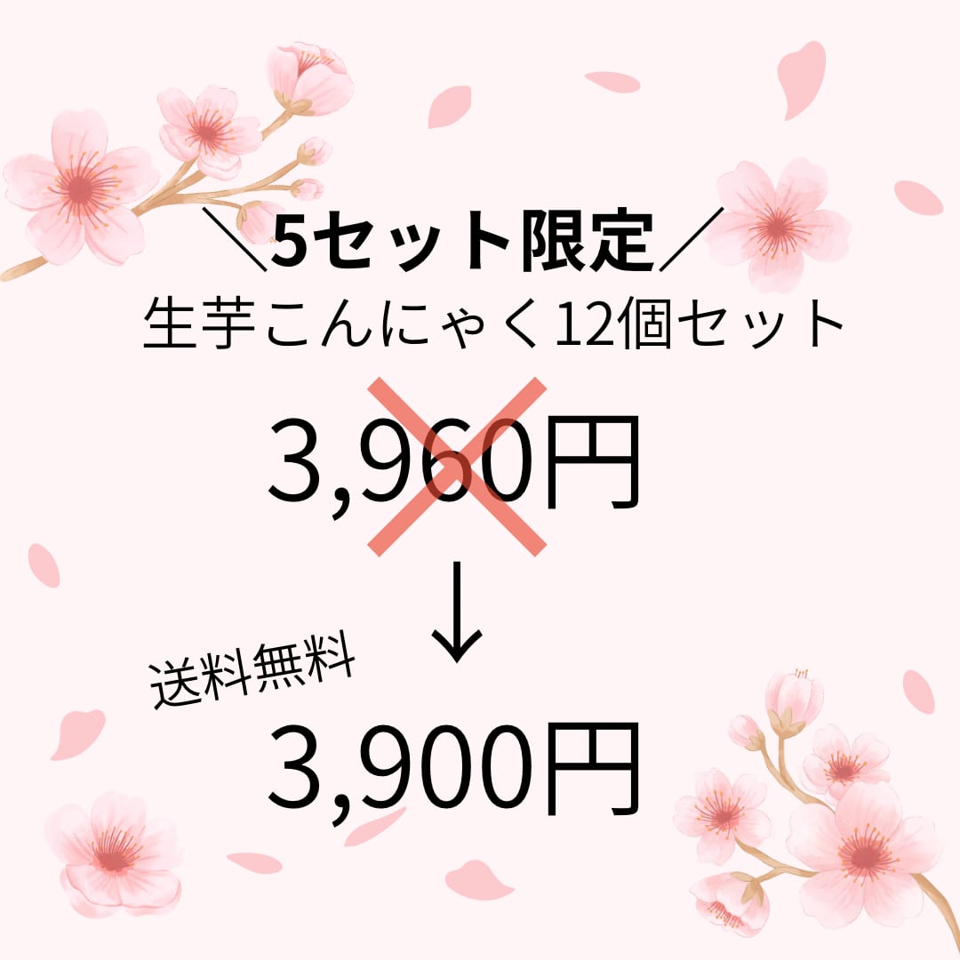 \5セット限定/明日発送可能◎こんにゃく12個セット