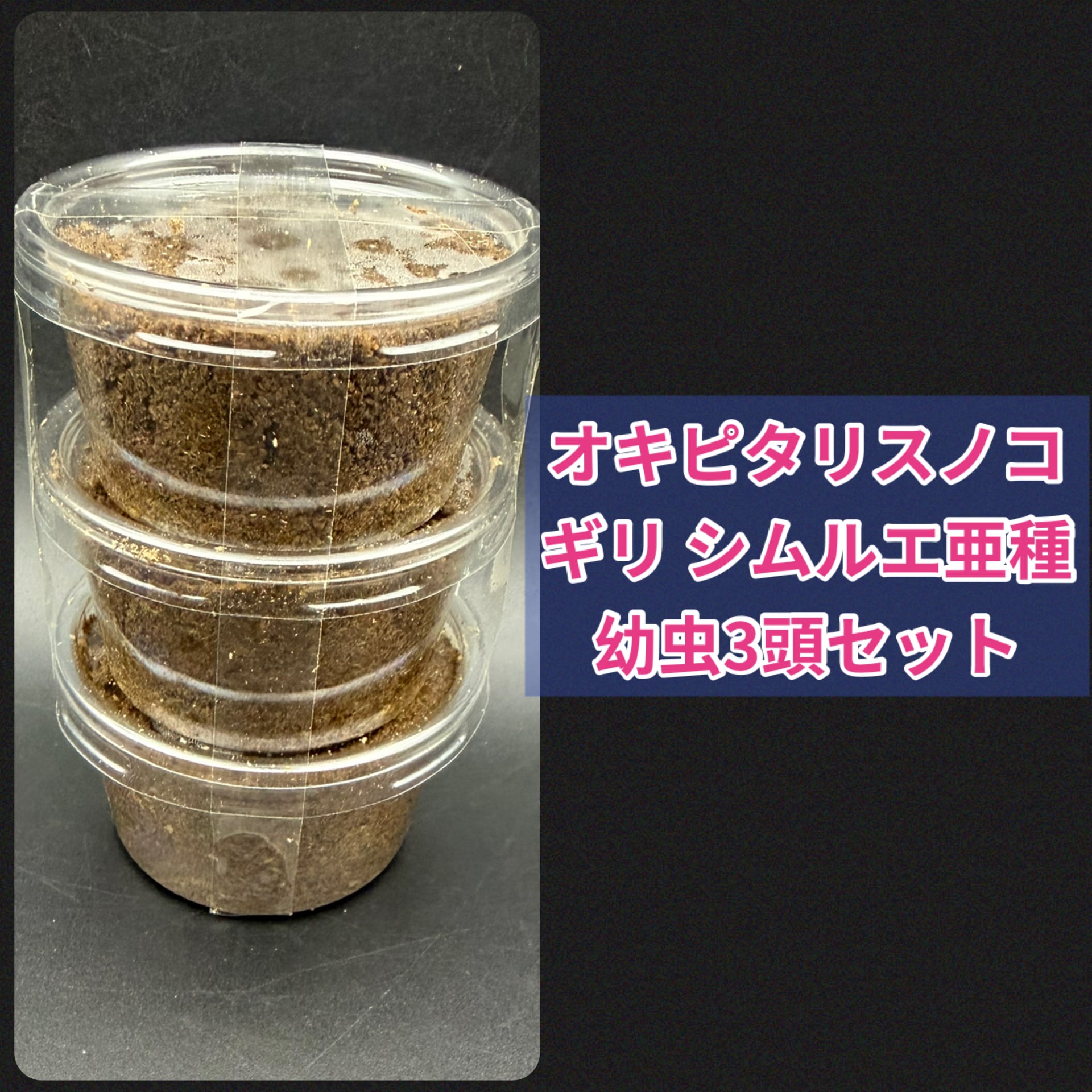 硬質クリアボトル 800cc | KPW BASE店