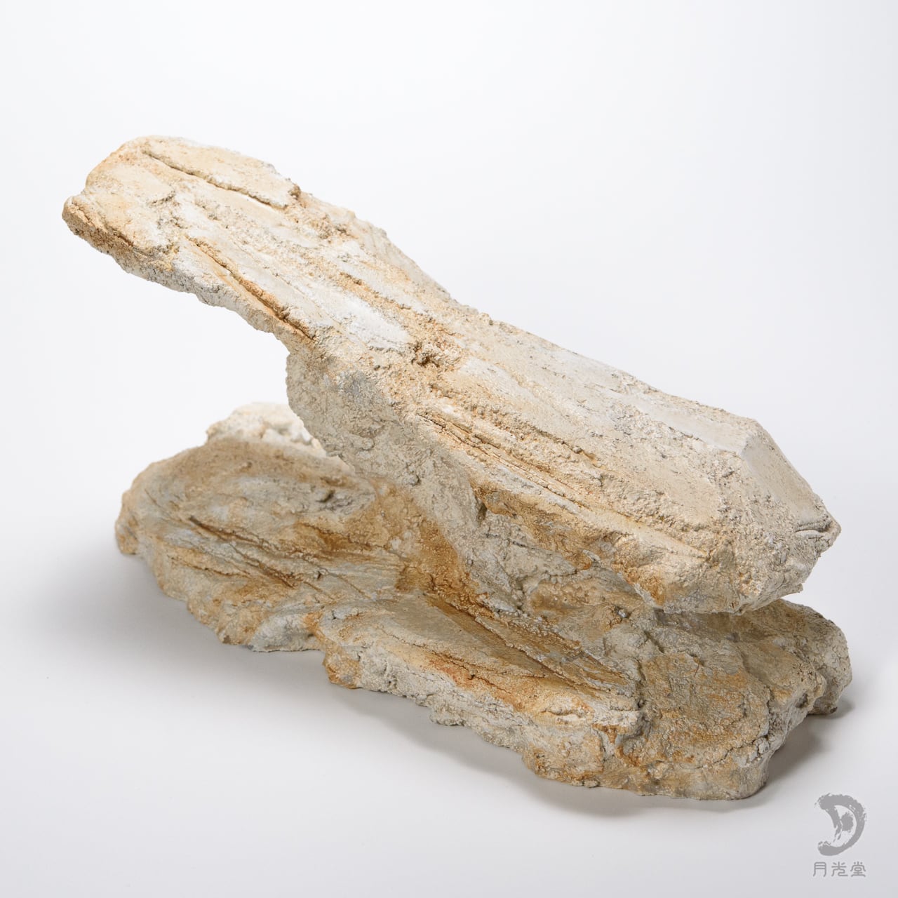 バスキングスロープ | 月光堂｜爬虫類シェルター 爬虫類 シェルター