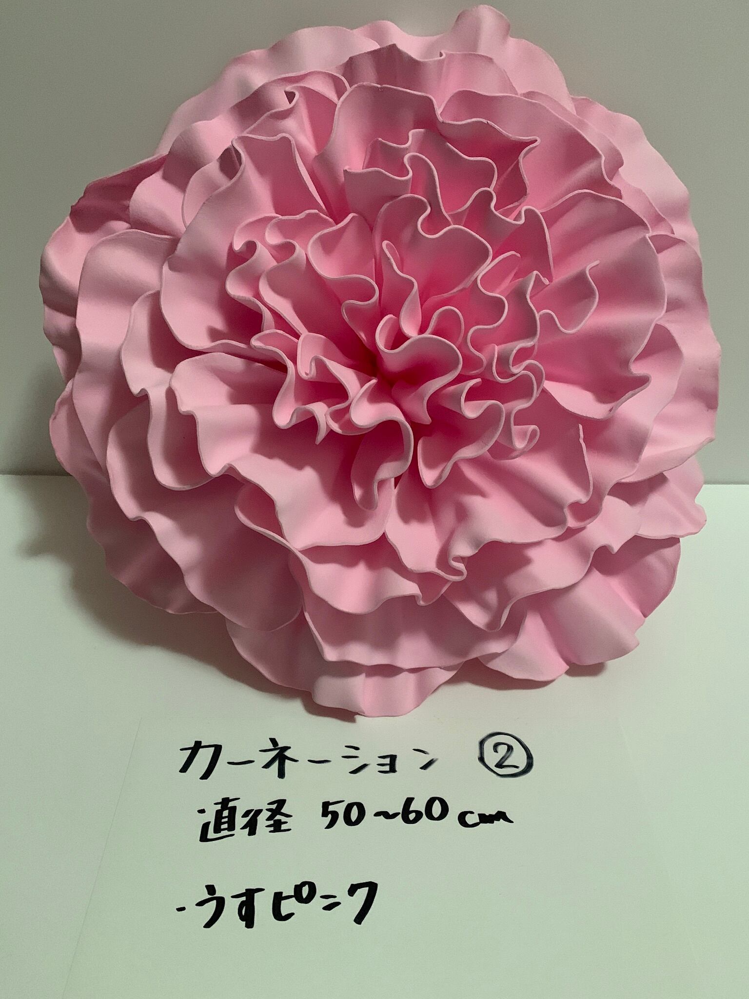 レニディフラワー カーネーション Giantflower