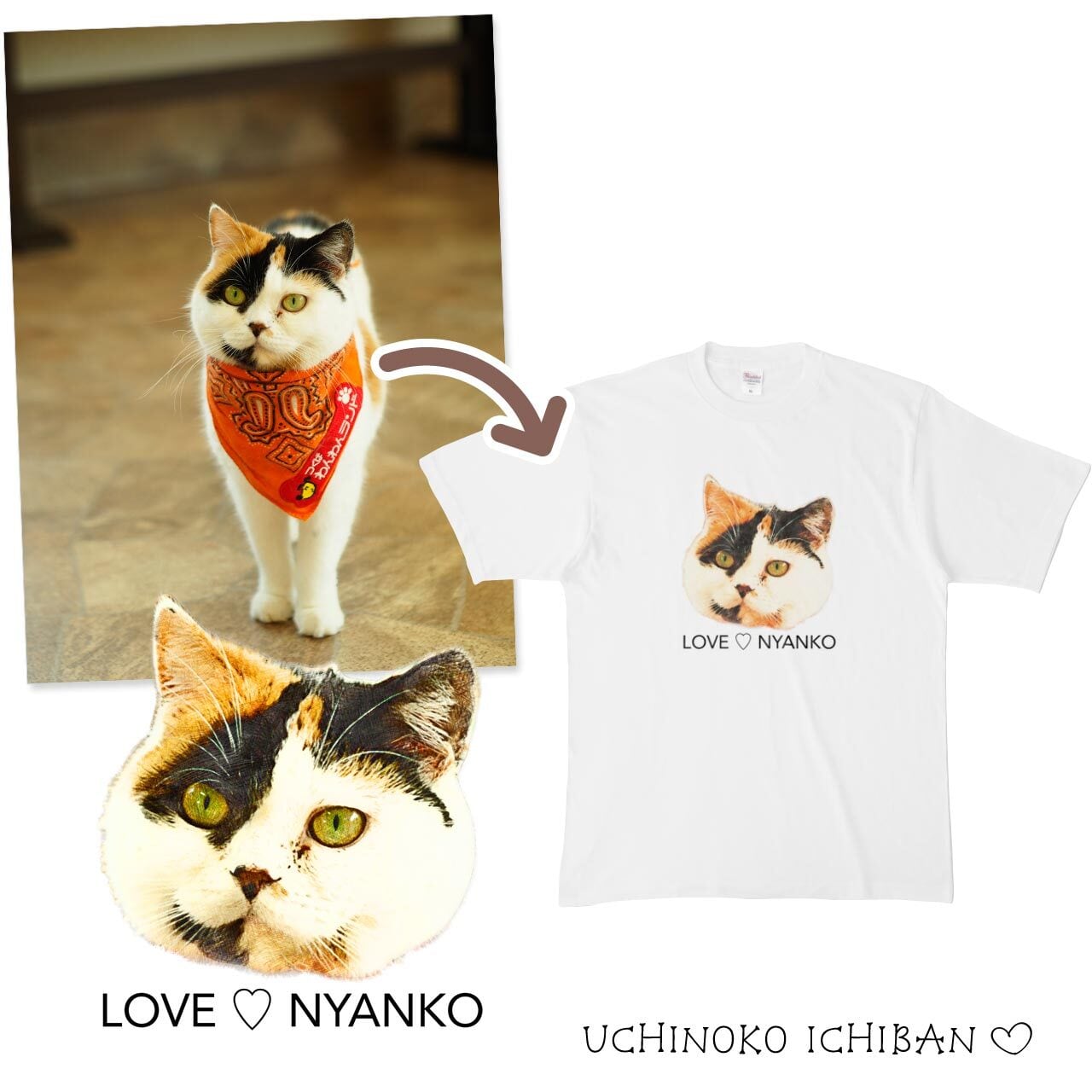 猫さん写真で作るTシャツ（猫 ネコ ねこ 愛猫写真で♪） | ねこねこ