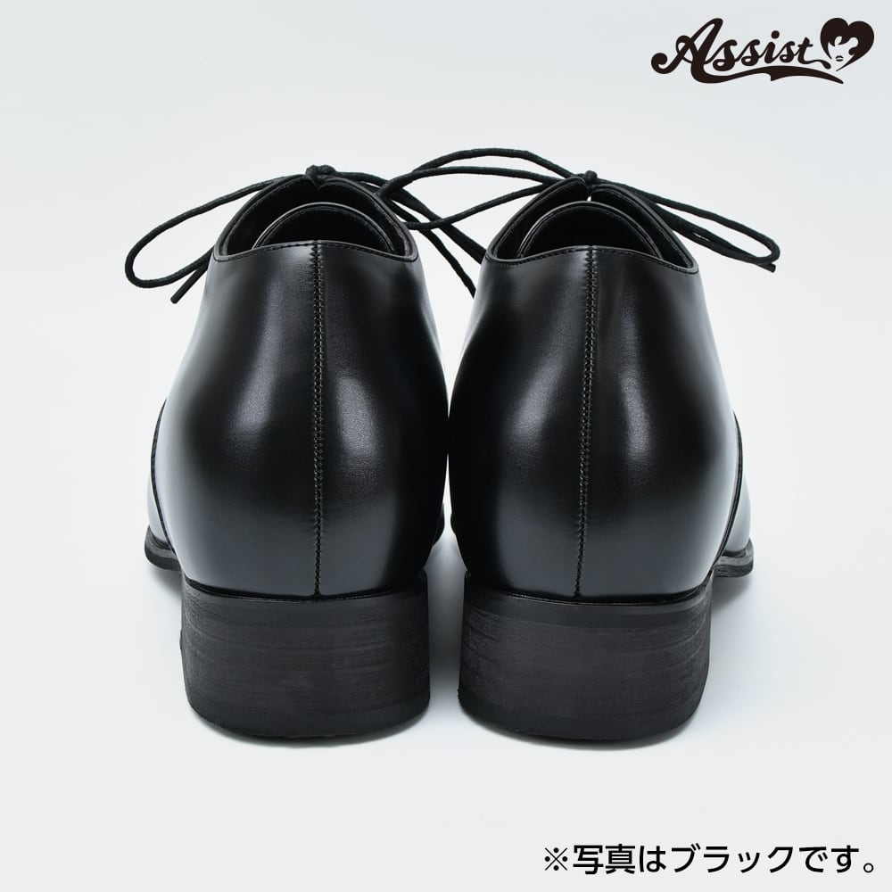 アシストウィッグ【シークレットビジネスシューズ クイーンサイズ