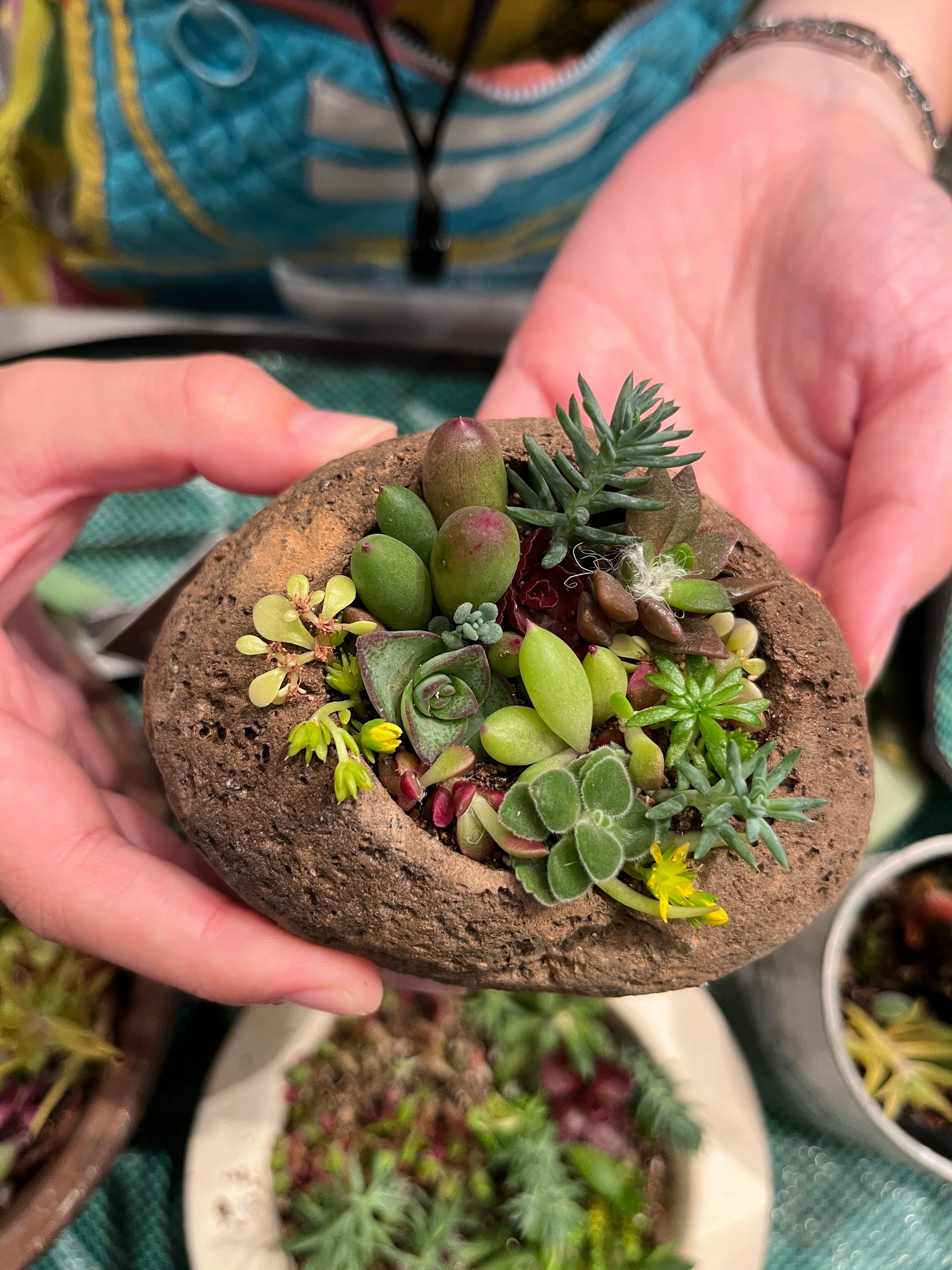 軽くて、かわいい！ 軽石プランターミニタイプ | 木・花・咲・mocca.sac