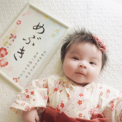 和風命名書　パステル梅の花
