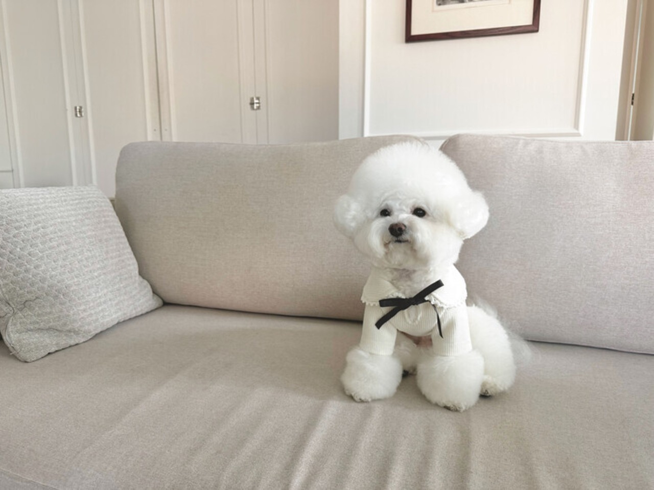 即納【chouchou&chourr】SAILOR WARMER KNIT (IVORY)