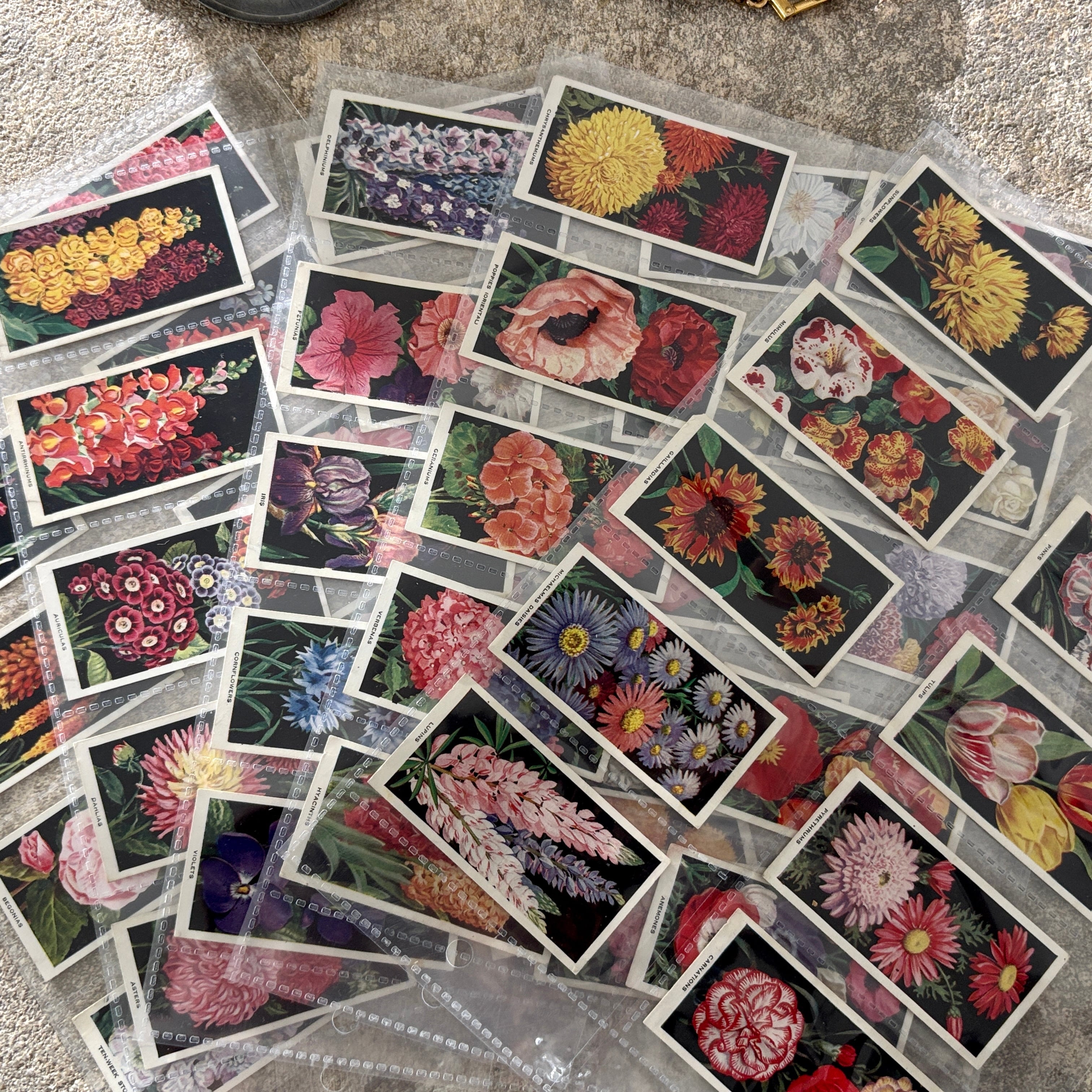 ヴィンテージ紙もの・VINTAGE PAPER・BOOK | べるりんのーと ANTIQUE
