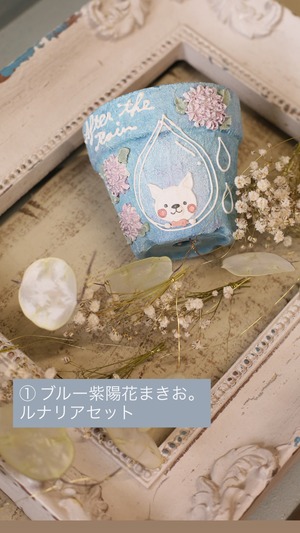 ①ブルー紫陽花まきお。× ルナリアガーランド