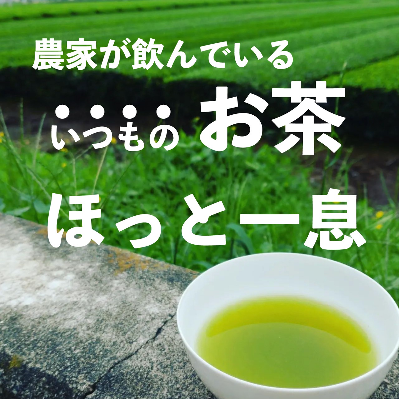 お茶農家が飲んでいる抹茶入り玄米茶（紐付きティーバッグ 5ｇ×40包）