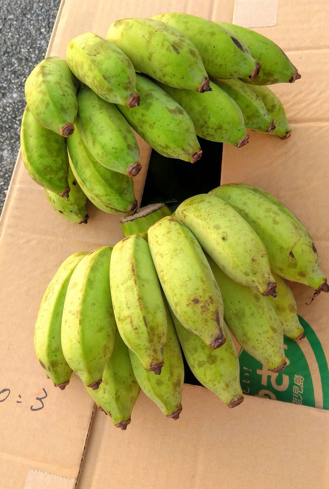 セレブの果実？！人気！話題の沖縄産アップルバナナ無農薬1.５kg２〜３房 沖縄山原やんばる情熱市場