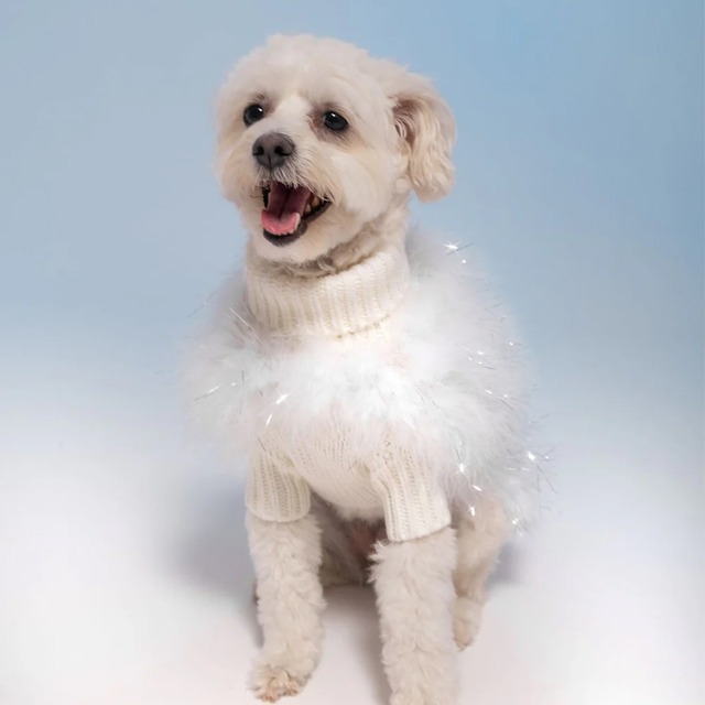 Christian Cowan Holiday Glitz Jumper（Snow white） / maxbone