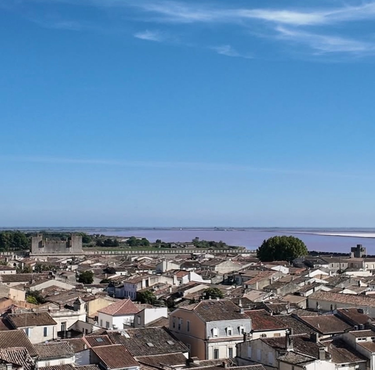 カマルグの塩 フルール・ド・セル プロバンスハーブ