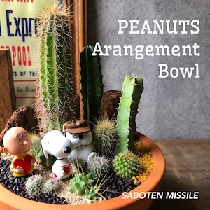 PEANUTS Arrangement Bowl ボウル