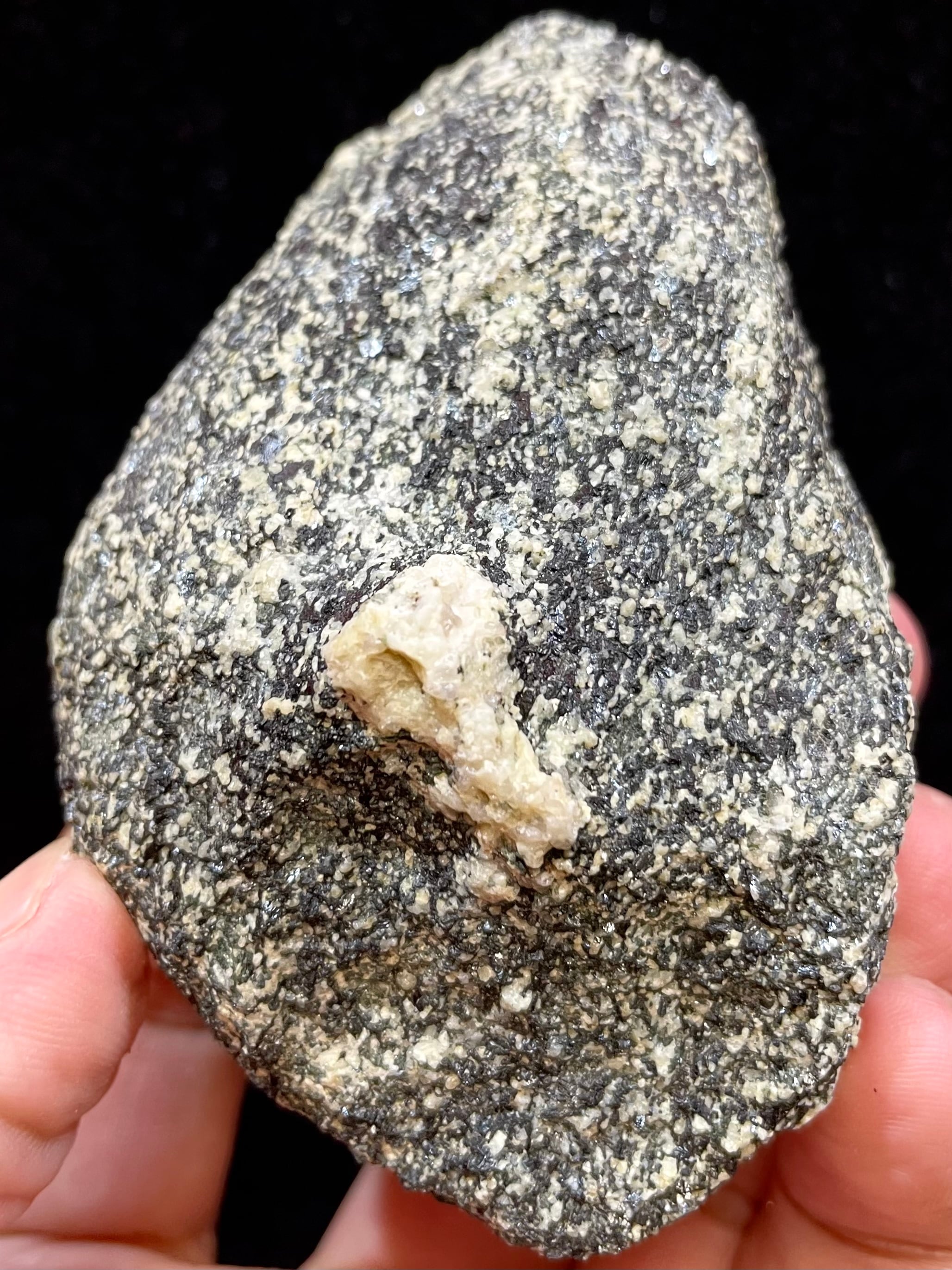 1) 世界初！！！「南極の石(アンタークティック・ストーン