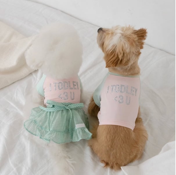Dog/予約【todley】Toley Love u Cool T (Pink)