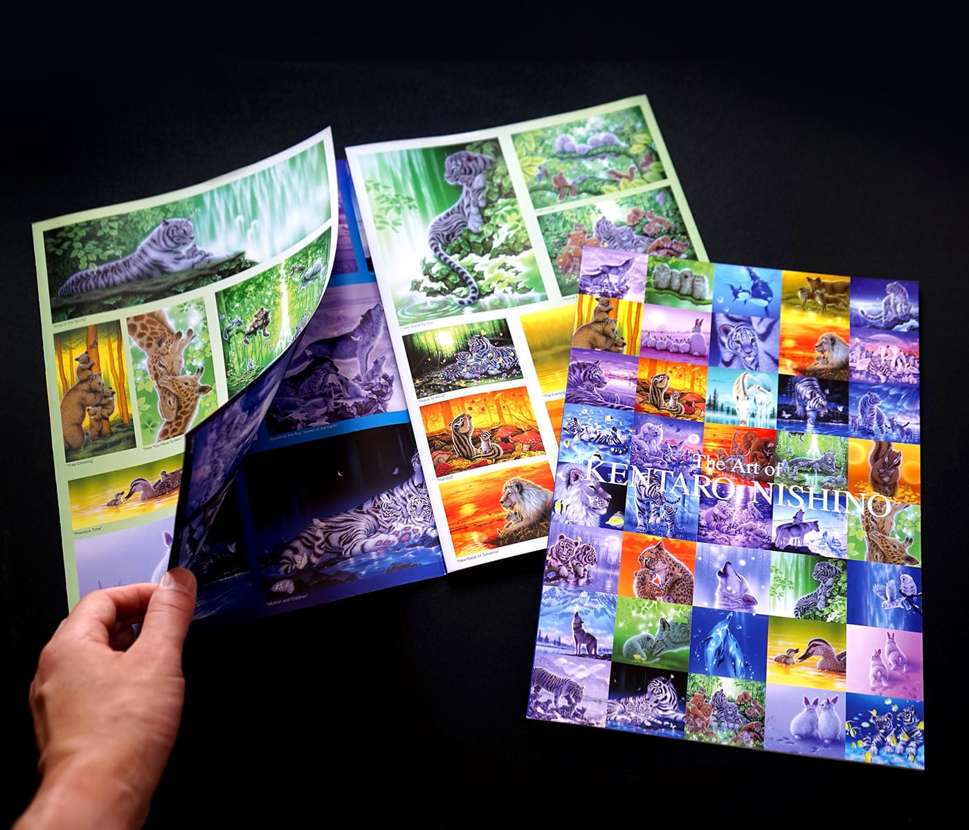 カタログ画集 | 西野健太郎アートショップ