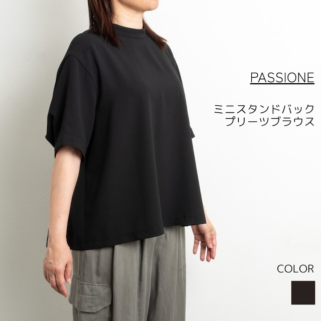 【PASSIONE／パシオーネ】ミニスタンドバックプリーツ５分袖ブラウス