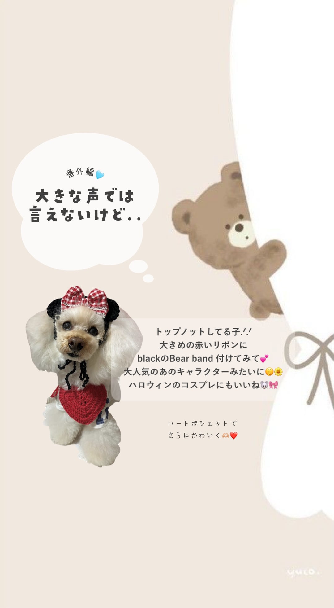 【即納】Bear band