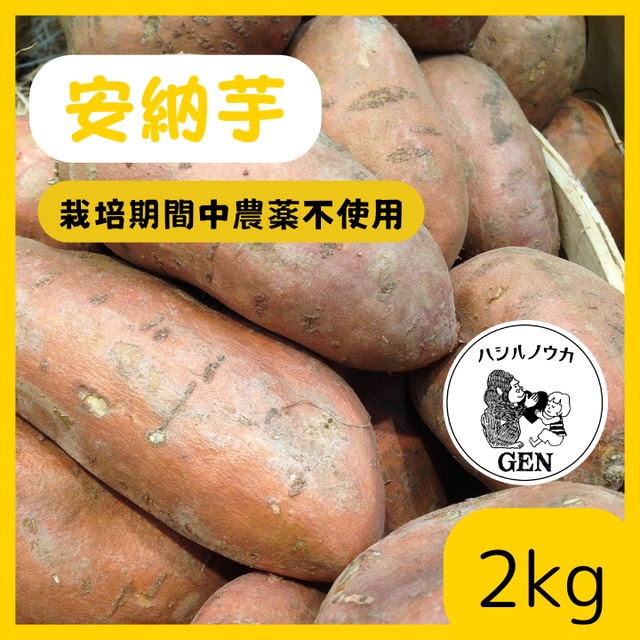 安納芋(2kg）栽培期間中農薬不使用／熟成１ヵ月以上でお届け！(滋賀県産)・(さつまいも)・(土付き)