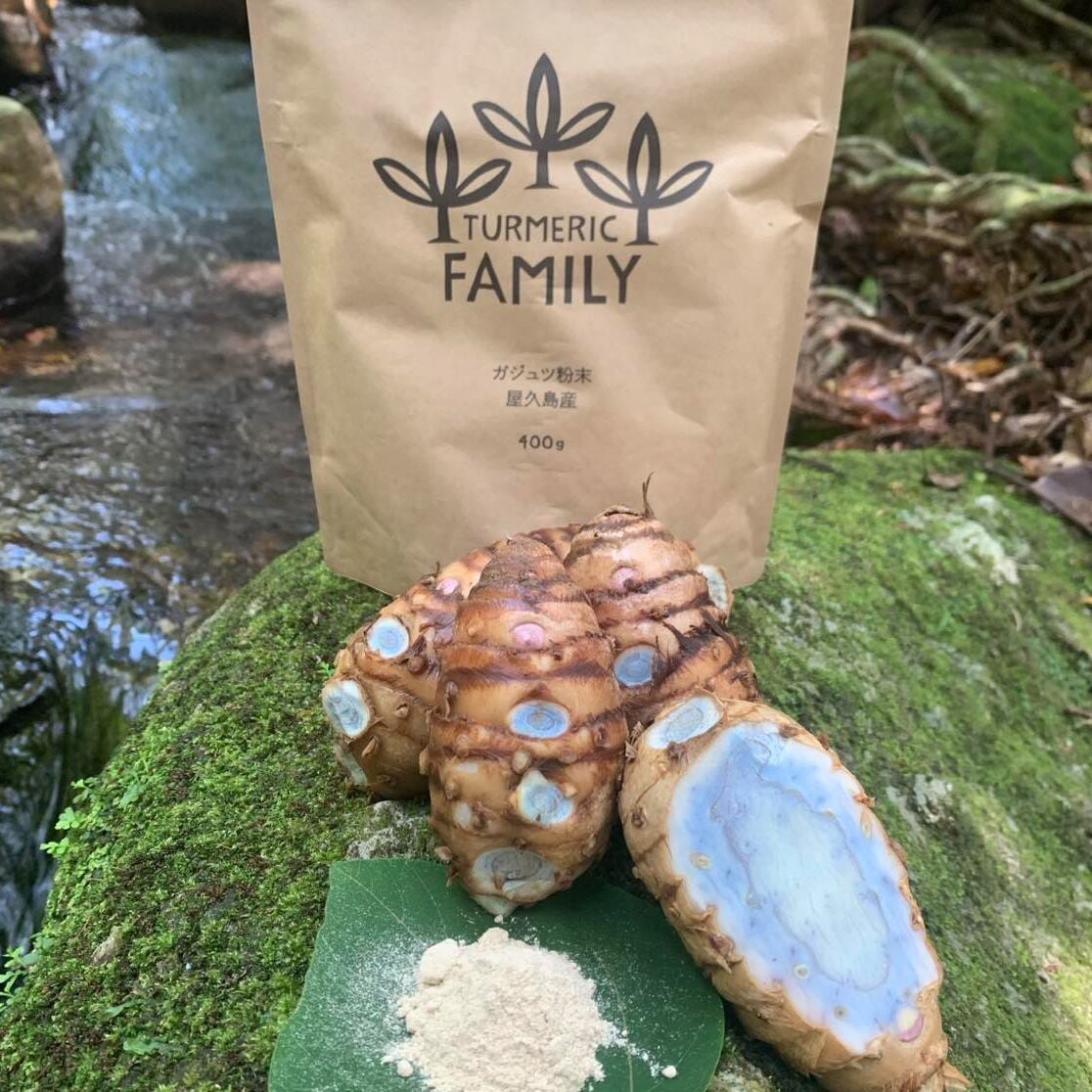 屋久島産ガジュツ粉・1ヶ月分お得な末年間契約〜400g×12パック(毎月一袋づつ発送)